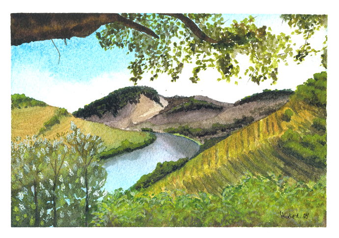 The Douro River with the surrounding vineyards, a characteristic landscape of Northern Portugal