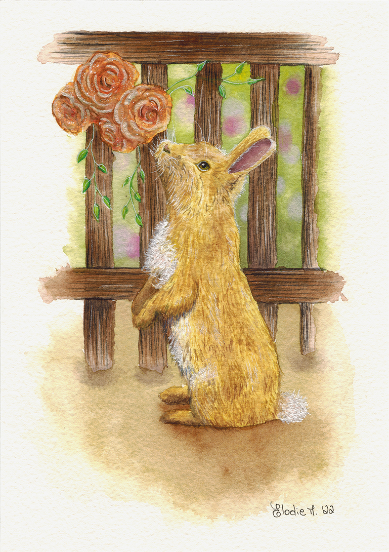 Brown bunny near a fence, smelling flowers that came through it.