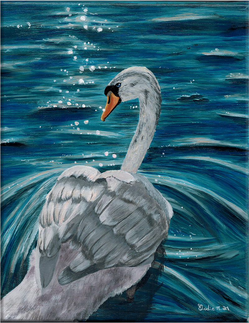 Swan swimming on blue water