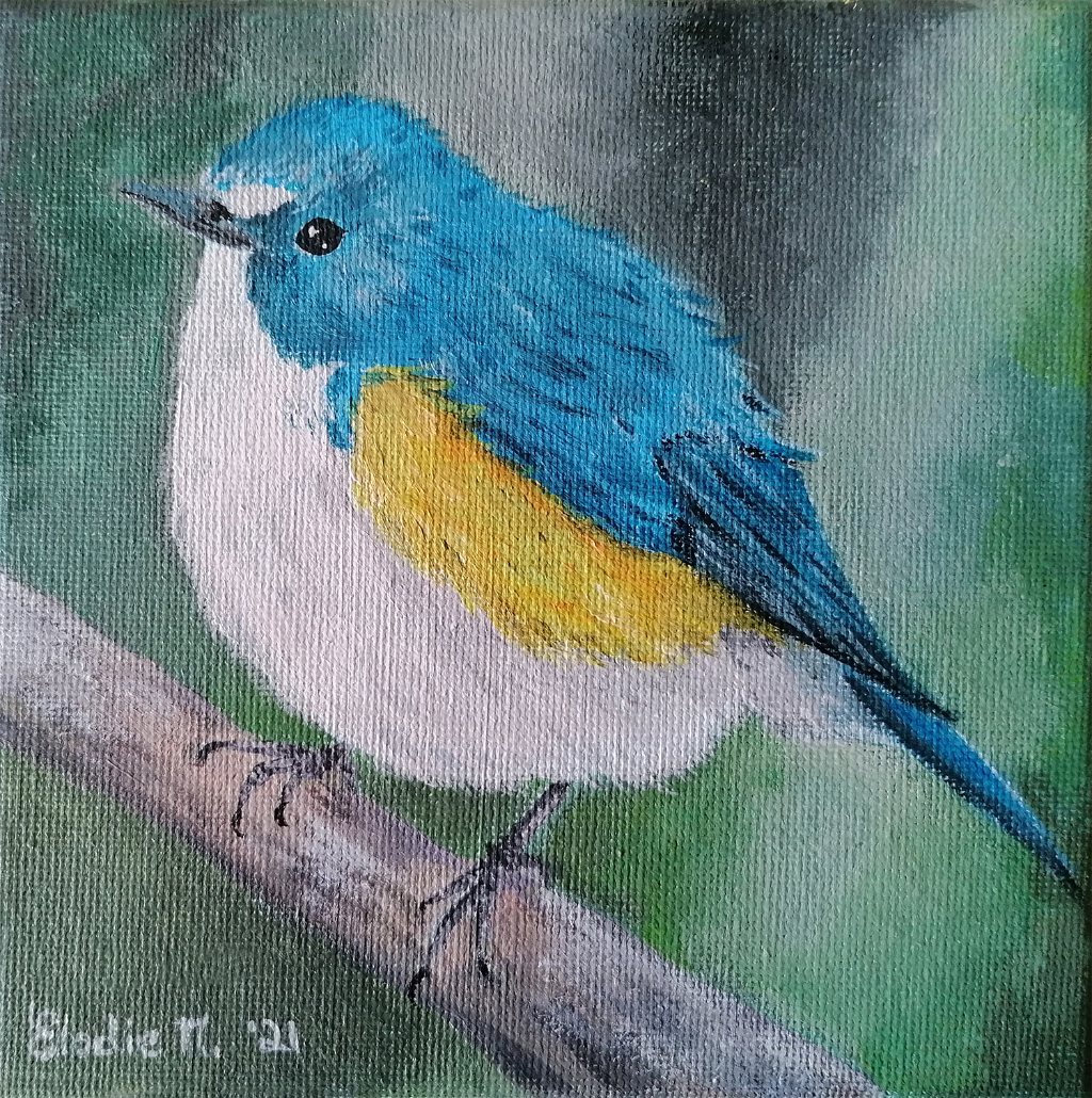 Male red-flanked bluetail (Tarsiger cyanurus)