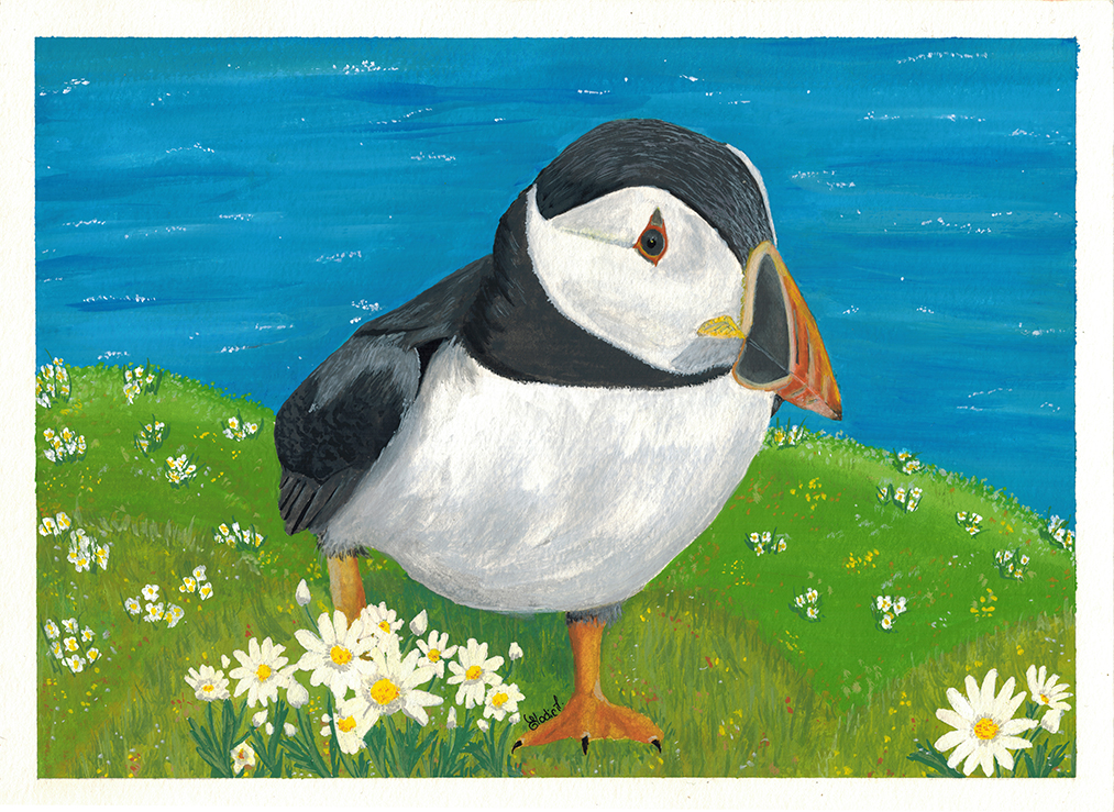 Atlantic Puffin Gouache Painting by Eloma Arts