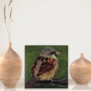 House Sparrow (Acrylic on canvas)