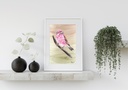 Purple Finch (Acrylic on Paper)