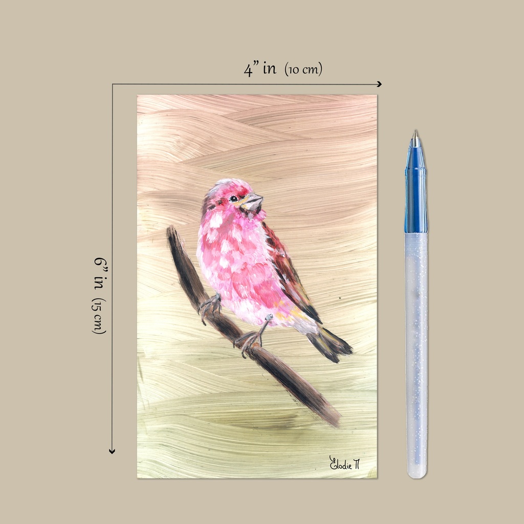 Purple Finch (Acrylic on Paper)