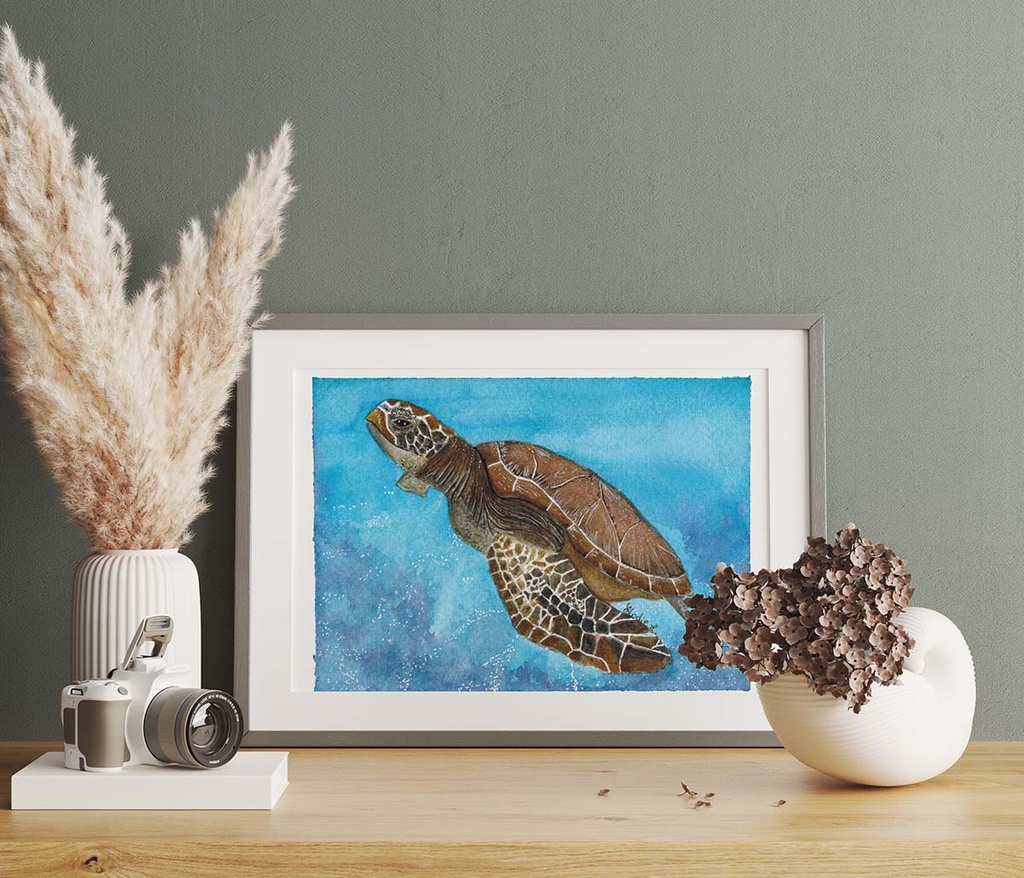 Turtle's Artwork Framed
