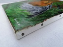 European Robin Canvas Side View