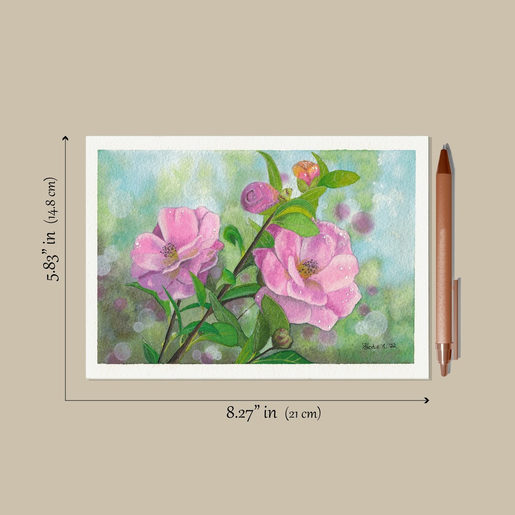 Camellia Japonica, Watercolor Painting, Eloma Arts