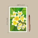 White Plumeria (Gouache Painting)