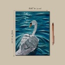Mute Swan (Acrylic on Canvas Painting)