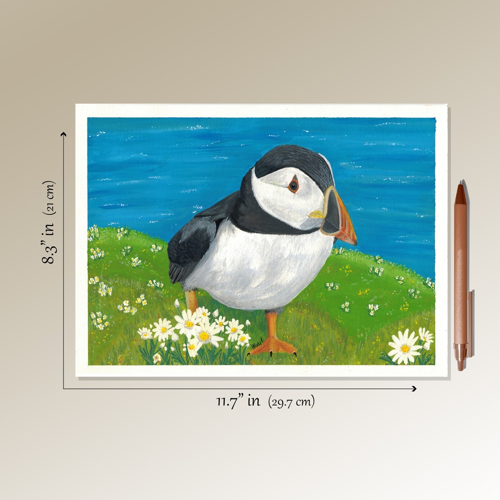 Atlantic Puffin (Gouache painting)
