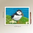 Atlantic Puffin (Gouache painting)