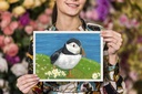 Atlantic Puffin (Gouache painting)
