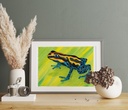Poison Dart Frog (Gouache Painting)