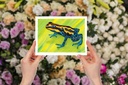 Poison Dart Frog (Gouache Painting)