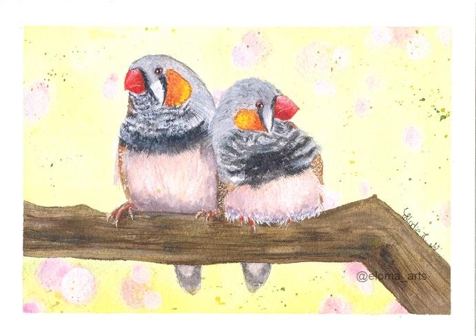 Zebra Finch (Watercolor Painting)