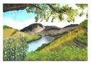 Vinhas do Alto Douro (Pintura em Aguarela)