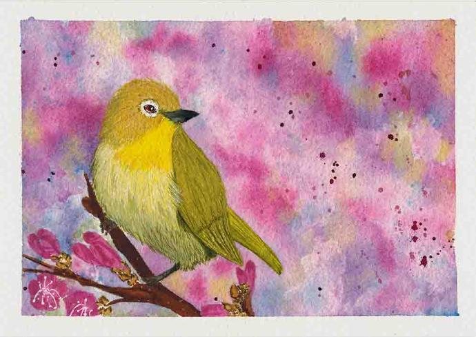 Japanese white-eye (Gouache Painting)