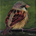 House Sparrow (Acrylic on Canvas Painting)