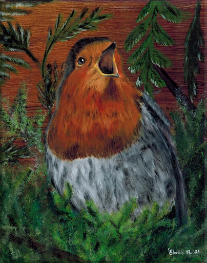 [SN12] European Robin (Acrylic on Canvas Painting)
