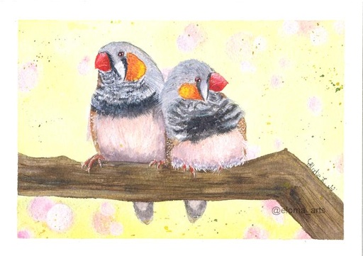 [SN22] Zebra Finch (Watercolor Painting)