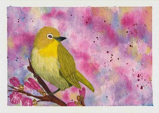 [SN4] Japanese white-eye (Gouache Painting)