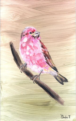 Purple Finch (Acrylic on Paper)