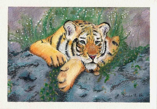 [SN17] Cria de Tigre Siberiano (Pintura em Aguarela)