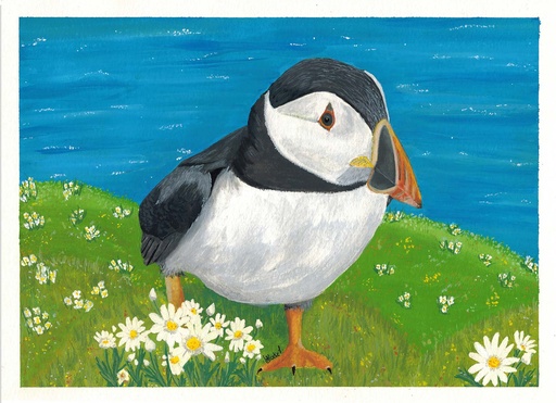 [SN6] Atlantic Puffin (Gouache painting)